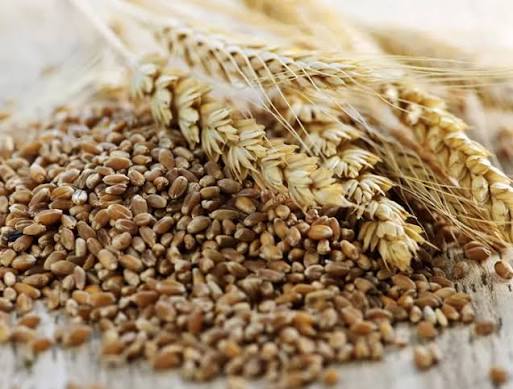 Grains