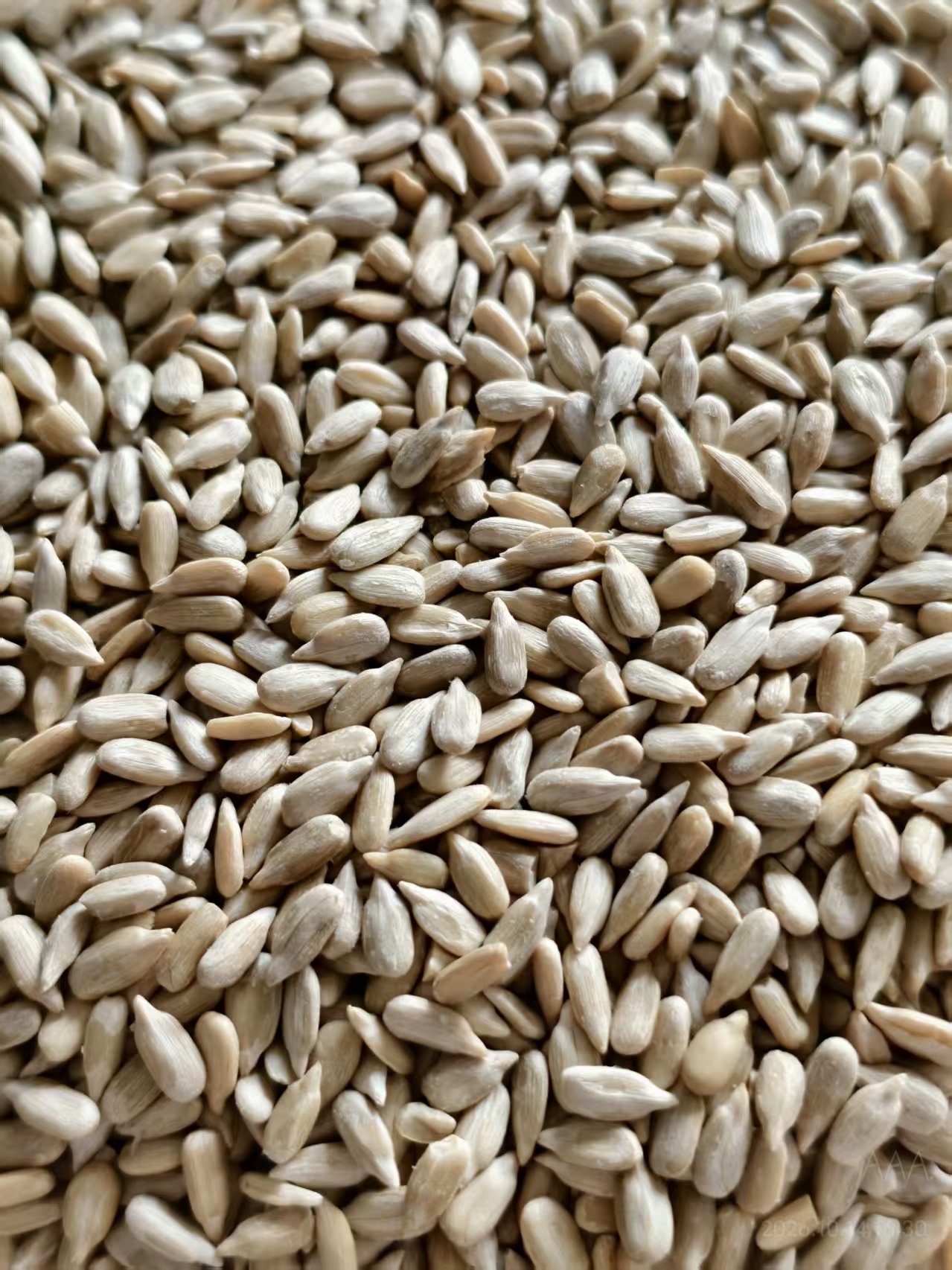 Sunflower seeds kernels Bakery/Confectionery