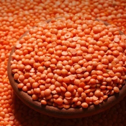 50 kg Polished Masoor Dal Split